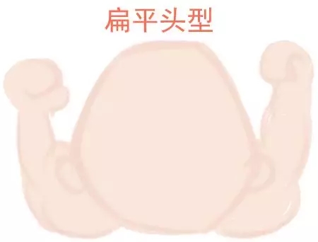 宝宝圆头好还是扁头好？这些奥秘很多爸妈都不知道2.webp.jpg