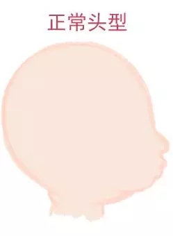 宝宝圆头好还是扁头好？这些奥秘很多爸妈都不知道3.webp.jpg