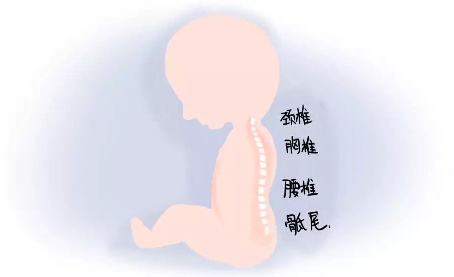 你家还在把屎把尿？这篇文章一定要看！1.webp.jpg