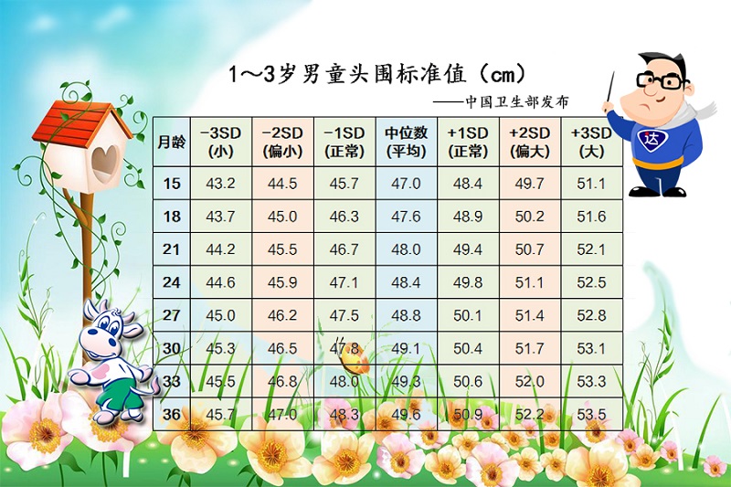 1-3岁男童头围标准值.jpg